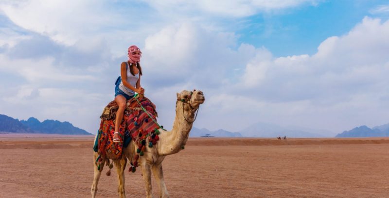 Camel Ride Egypt