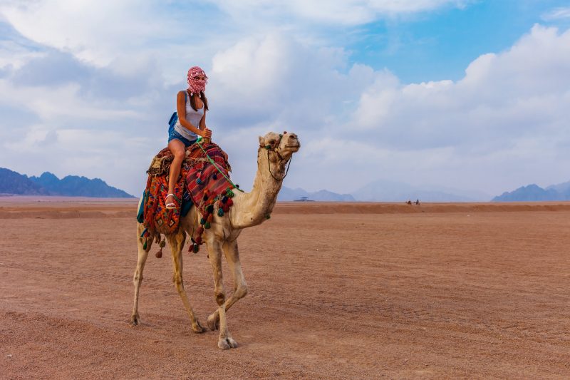 2 Day Sinai Camel Tour & Desert Camping Experience
