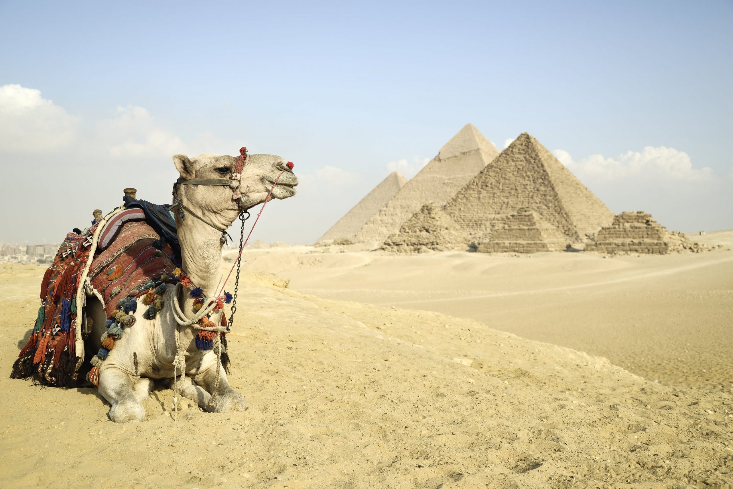 7 Day Cairo, Aswan And Luxor Package