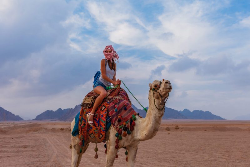 4 Day Sinai Camel Riding Tour
