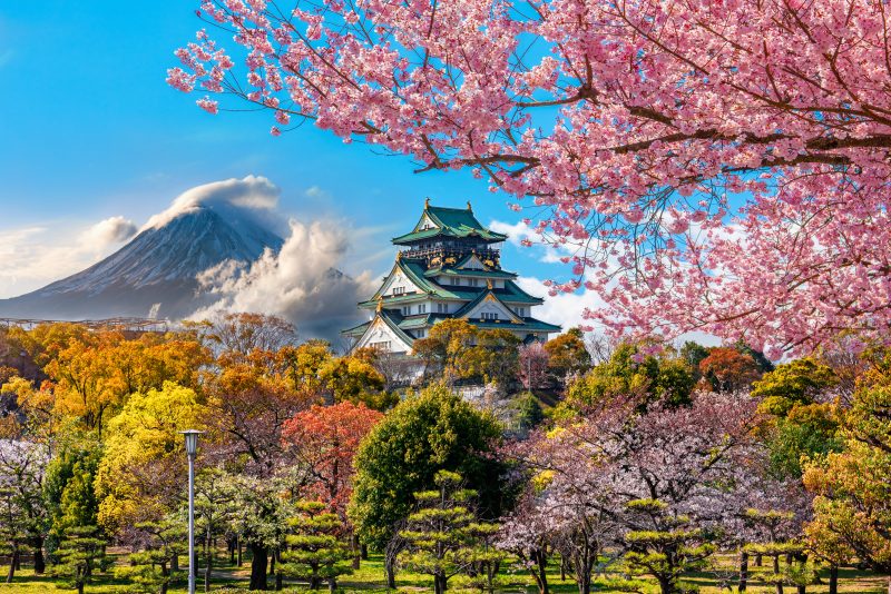 Discover The Beauty Of Osaka During 10 Day Ultimate Japan Package Tour