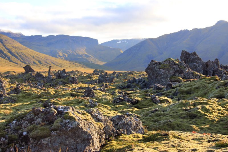 Drive Through The Berserkjahraun Lava Fields On Your Snæfellsnes Peninsula Day Tour