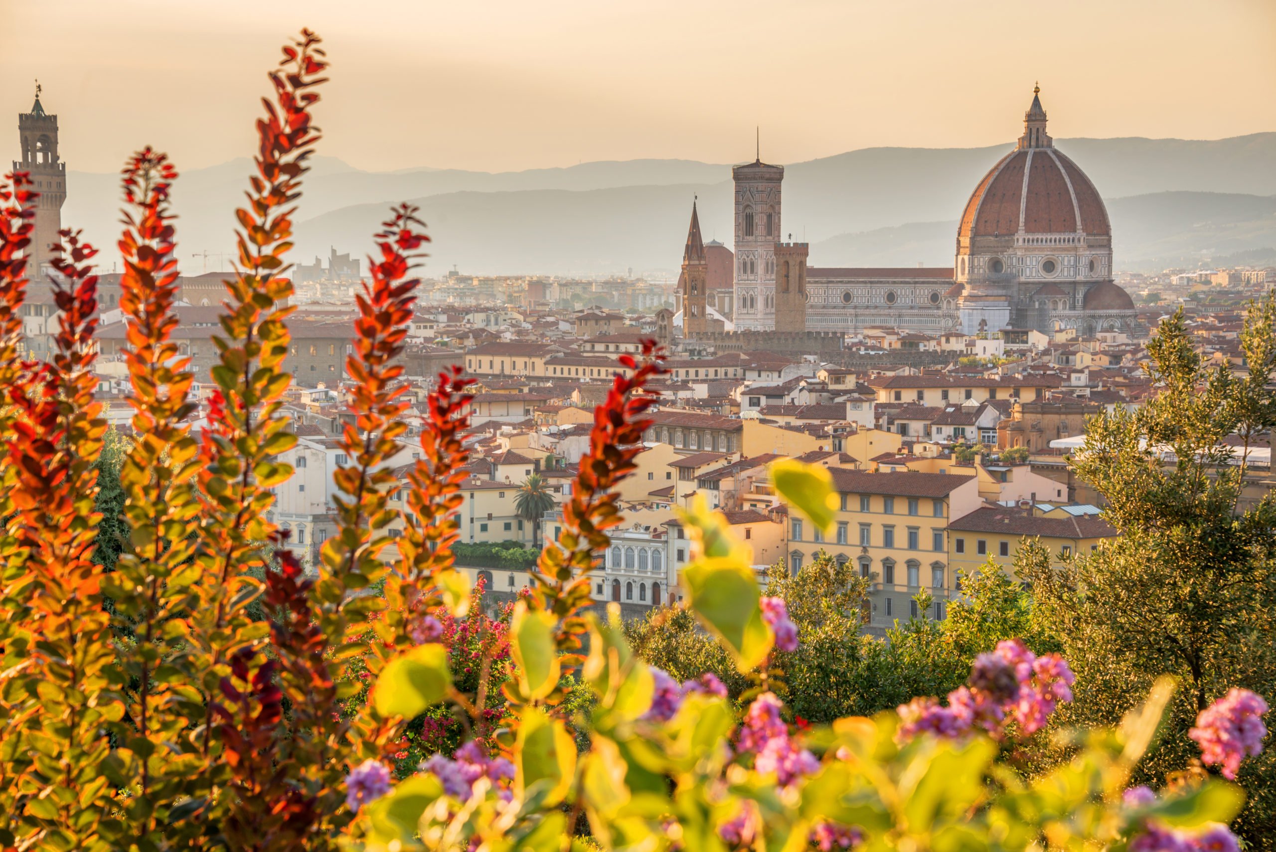 Best of Tuscany Day Tour from Florence Tourist Journey