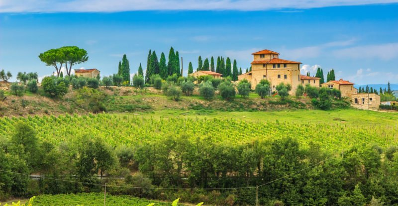 Enjoy The Stunning Views Over The Tuscan Vineyards On The Pizza And Gelato Cooking Class