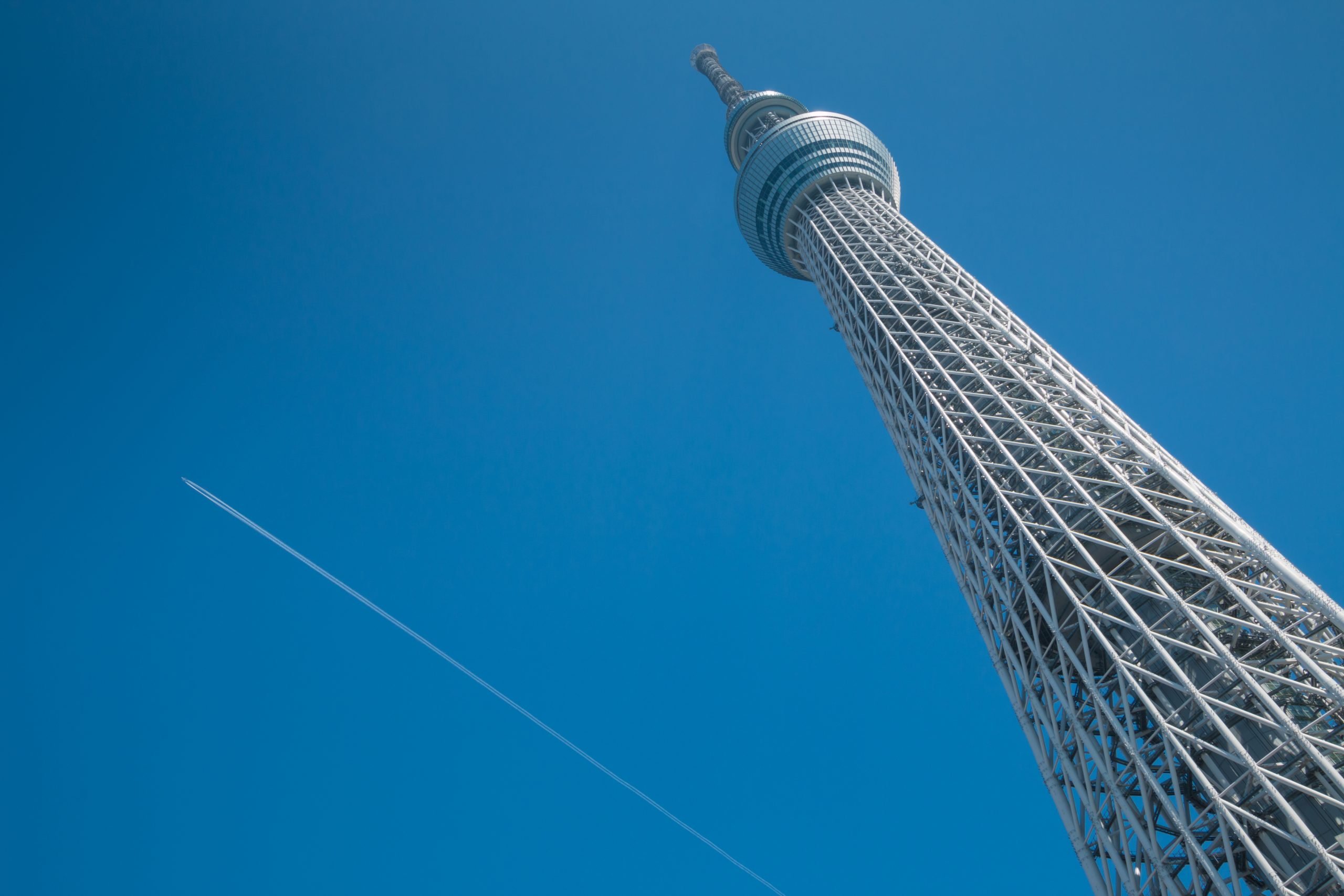 Explore The Sky Tree Tower On Your Ultimate Half Day Tokyo Tour