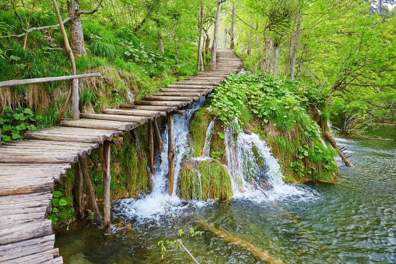 Explore The Beautiful Nature Of Plitvice During Your Plitvice National Park Day Tour
