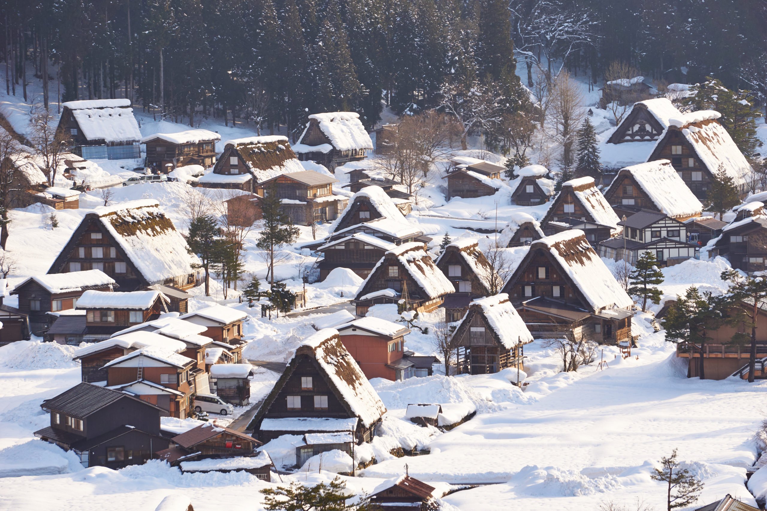 Shirakawa Village Winter