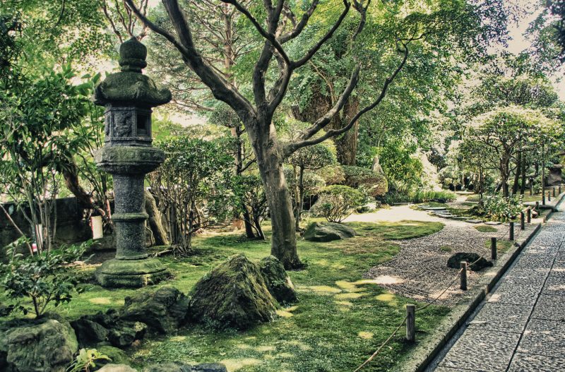 Stroll Through The Garden Of Kotukin Temple On The Kamakura Walking Tour And Tea Ceremony