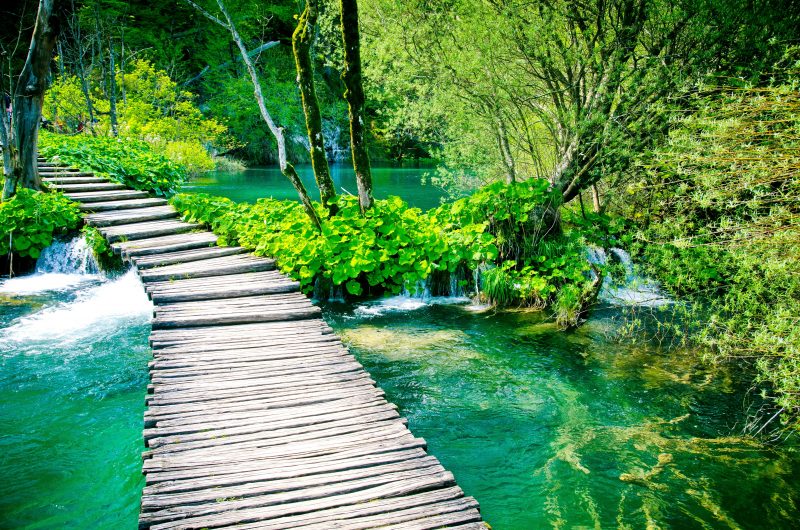 Wander On The Wooden Paths During The Plitvice National Park Day Tour From Split