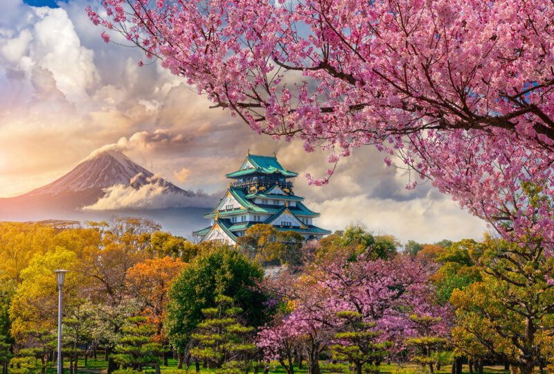 10 Day Ultimate Japan Tour Package