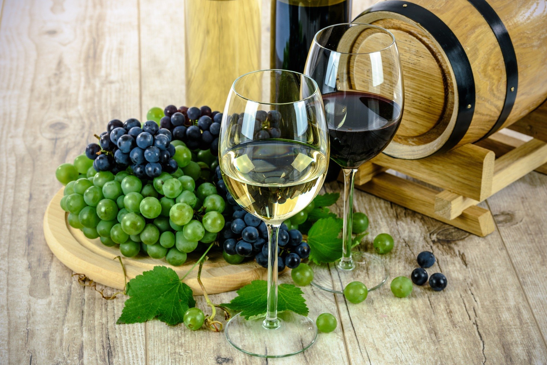 Discover The Delicious Flavours Of The Italian Wines On The Milan Wine Experience_52