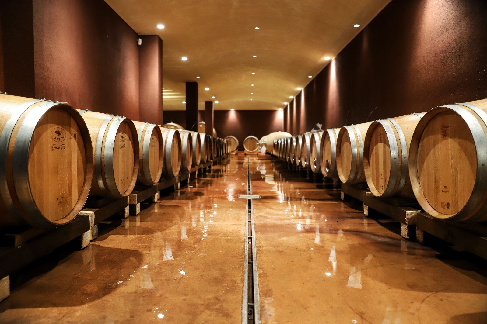 Enjoy A Guided Tour Of The Wine Cellars During The Wine Tasting Experience In Bardolino (lake Garda)_52