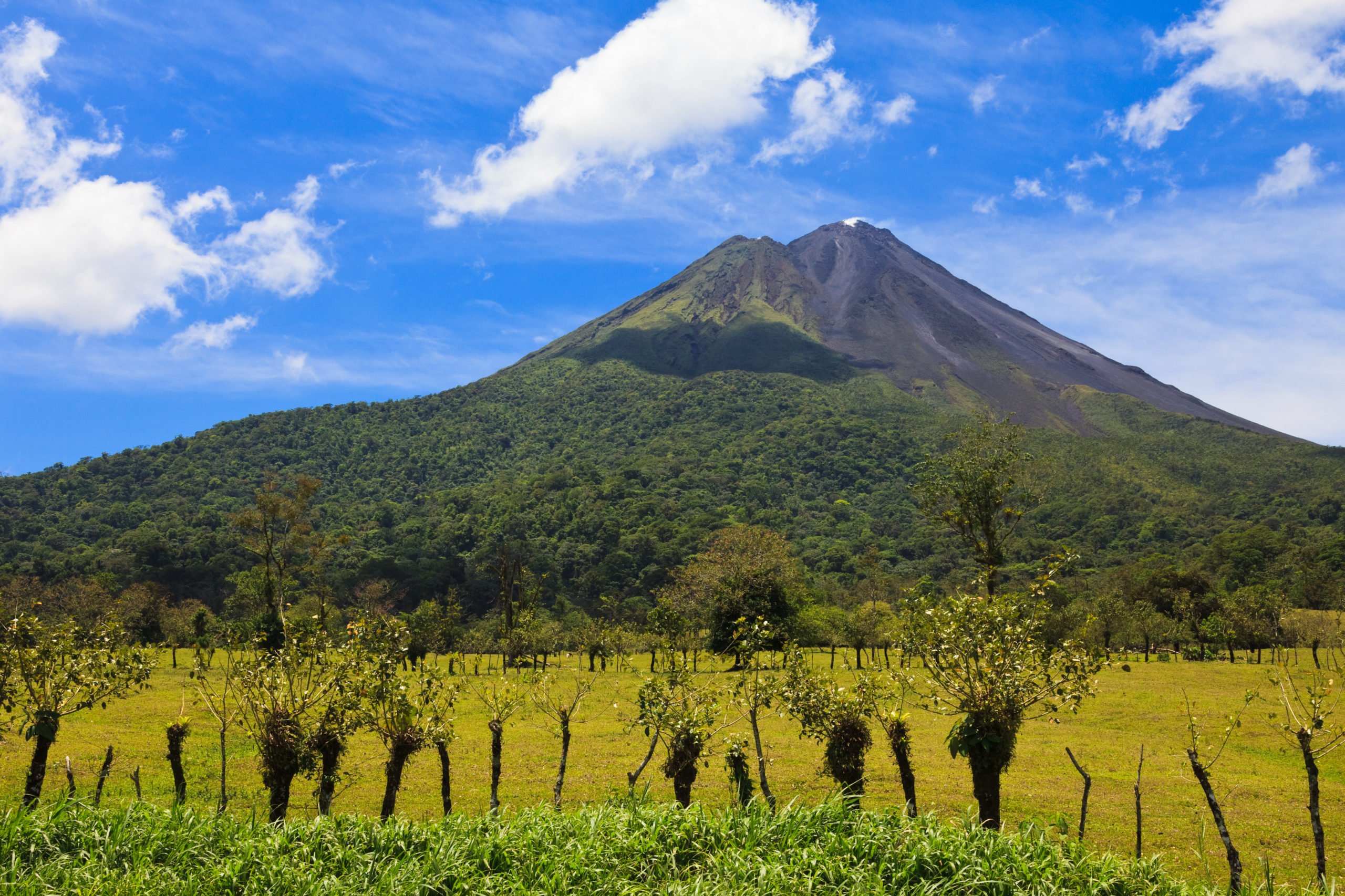 Enjoy The Beautiful Views Over The Arenal Volcano During Lunch On The Sloth Experience And Hot Springs At Arenal Volcano