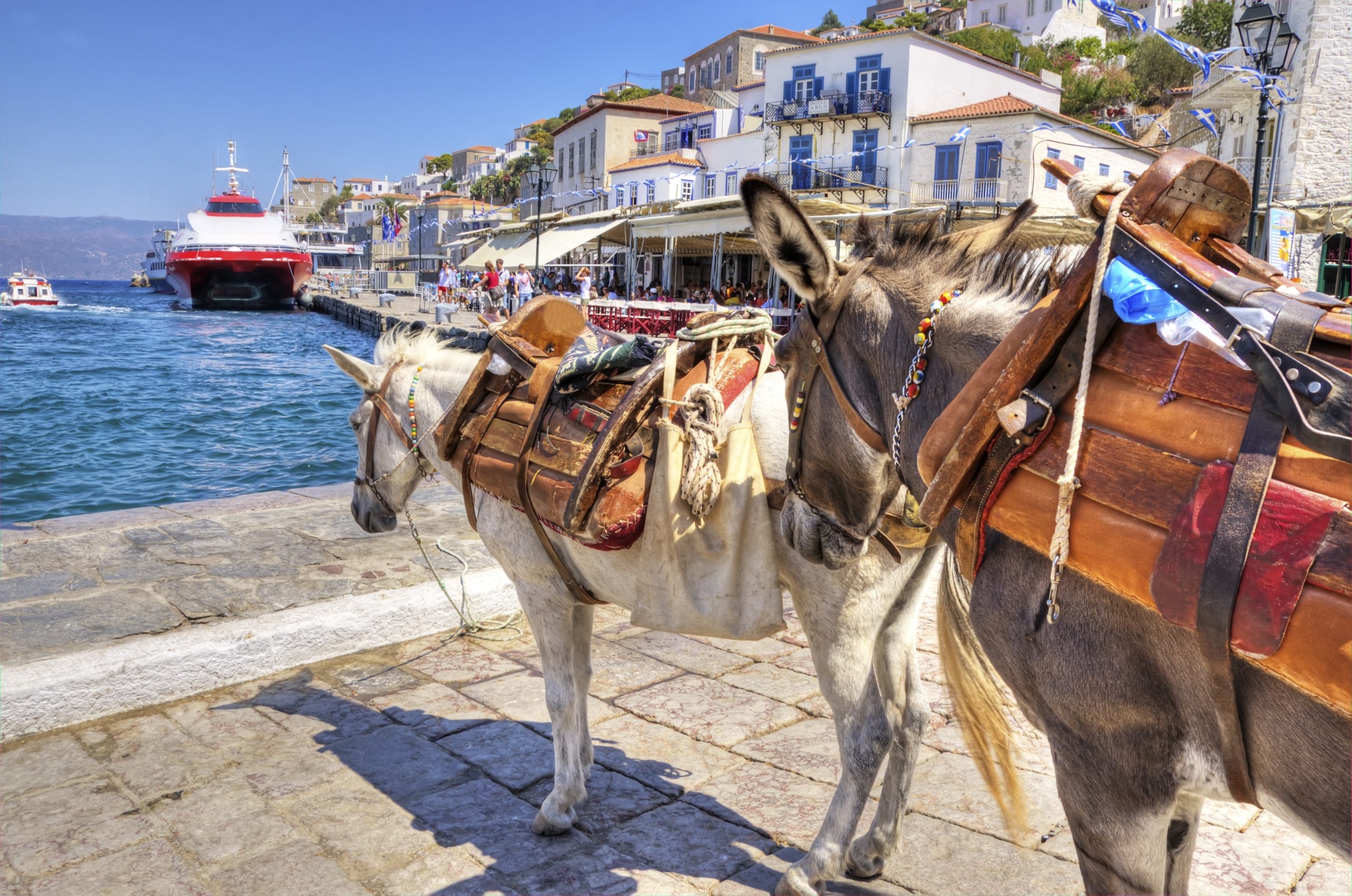 Explore The Island Of Hydra On The Aegina, Poros And Hydra Cruise From Athens