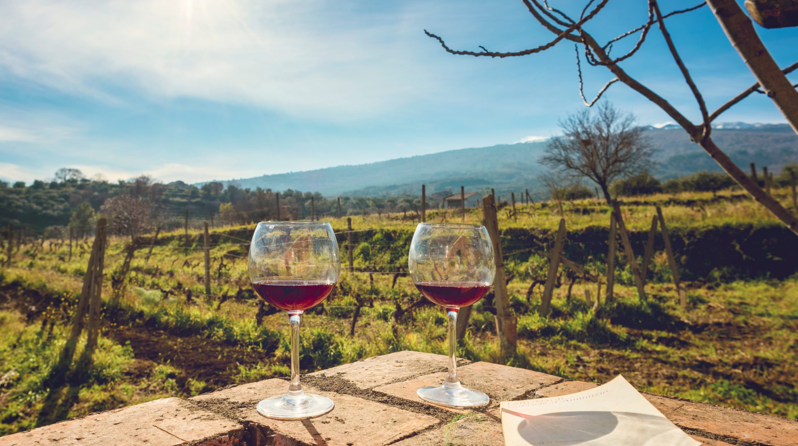 Try The Delicious Local Wines Overlooking Mt Etna On The Etna Food And Wine Tour From Taormina
