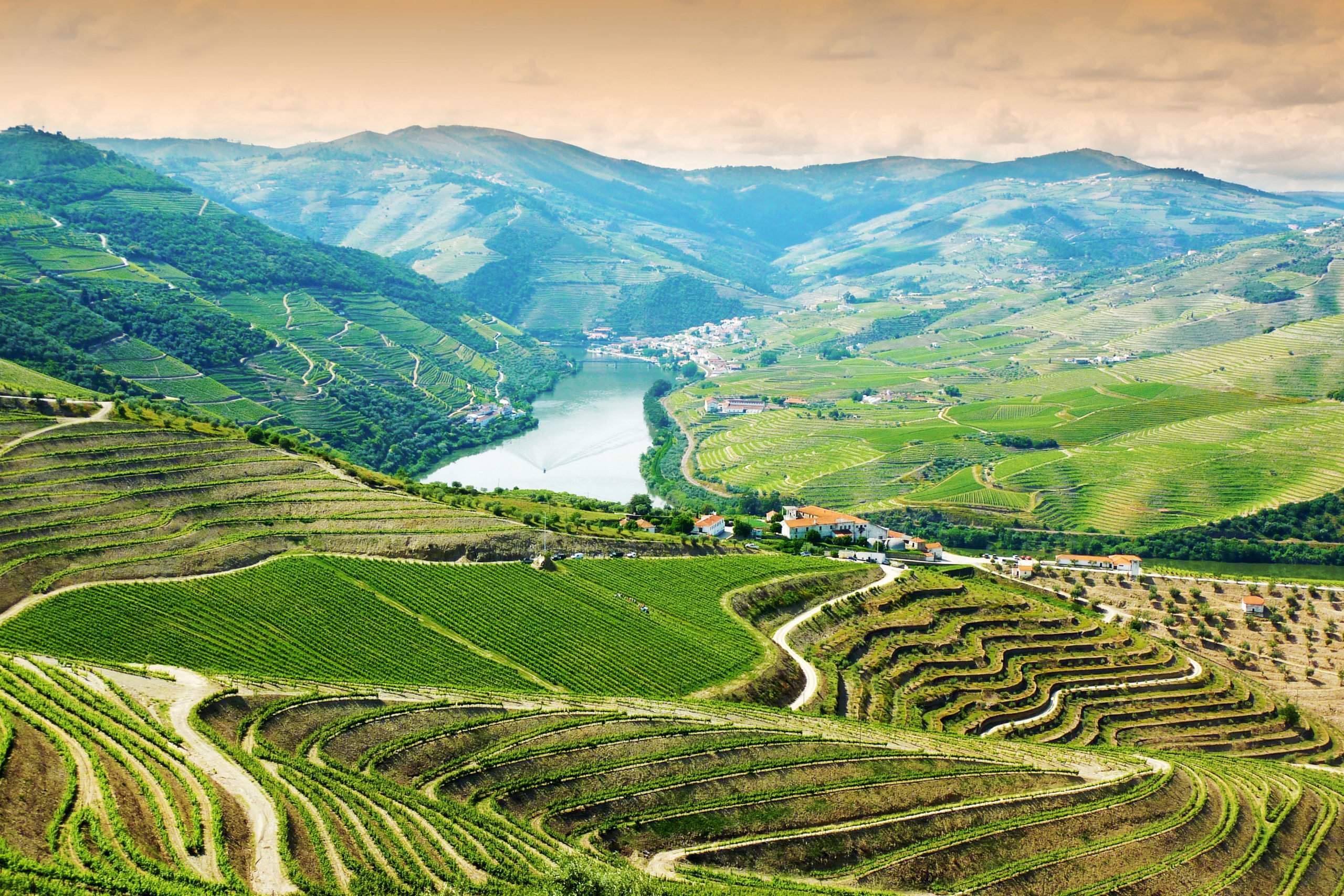 Admire The Beautiful Views Over The Vineyards On The Douro Valley Wine Tasting Tour From Porto
