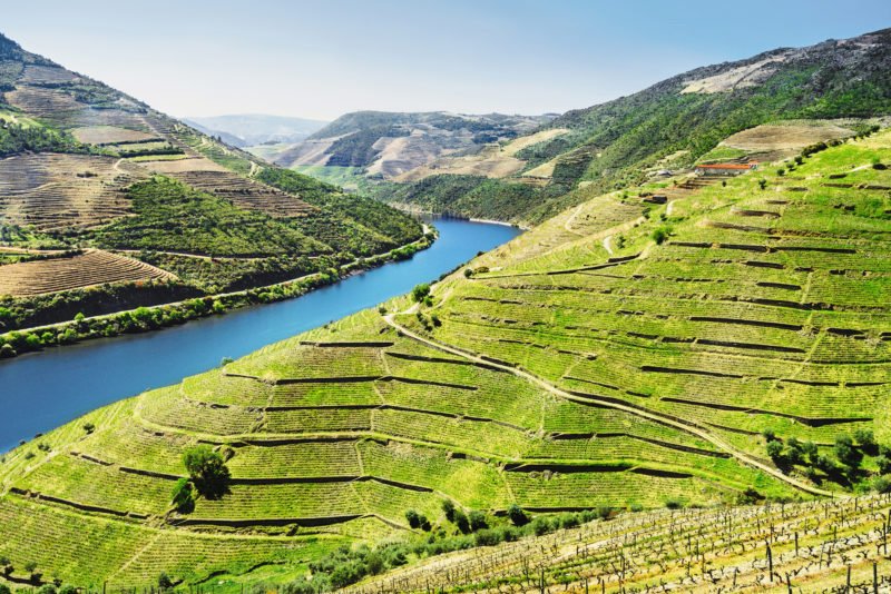 Admire The Marvelous Views Over The Valley And The Vineyards On The Douro Valley Wine Tasting Tour From Porto