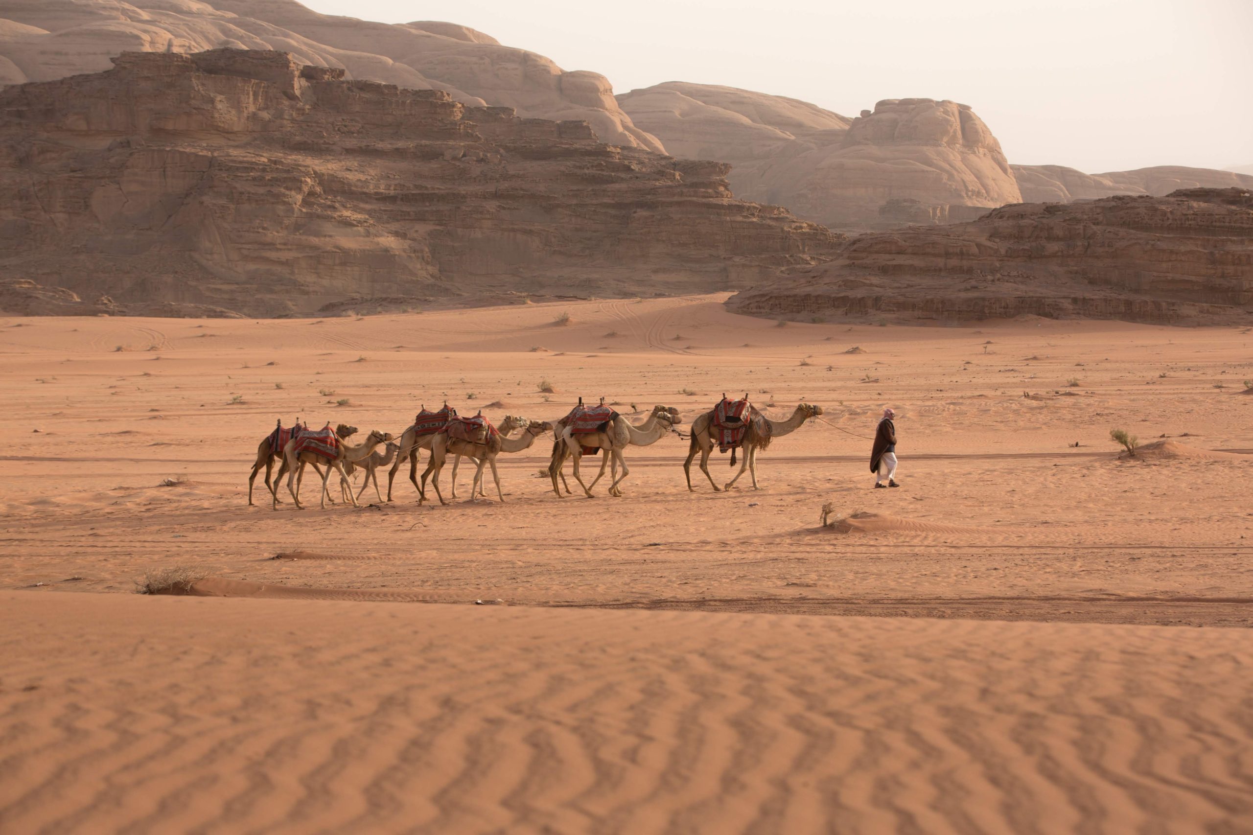 Enjoy A Authentic Bedouin Experience In Wadi Rum On The Highlights Of Jordan 4 Day Tour From Amman Or The Dead Sea