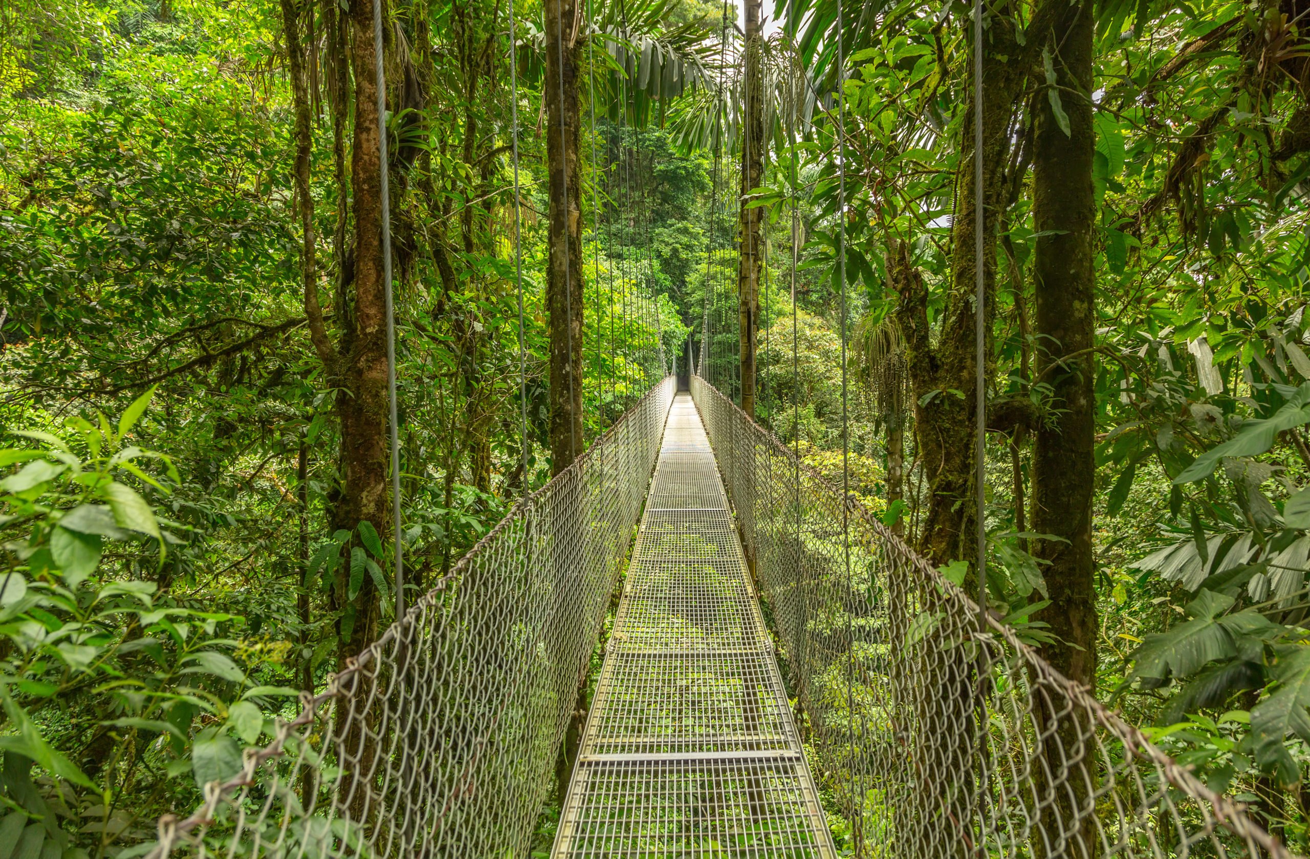Enjoy Some Adventure Activities In The Arenal Forest On The On The Tortuguero, Arenal & Manuel Antonio 10 Day Adventure Package Tour