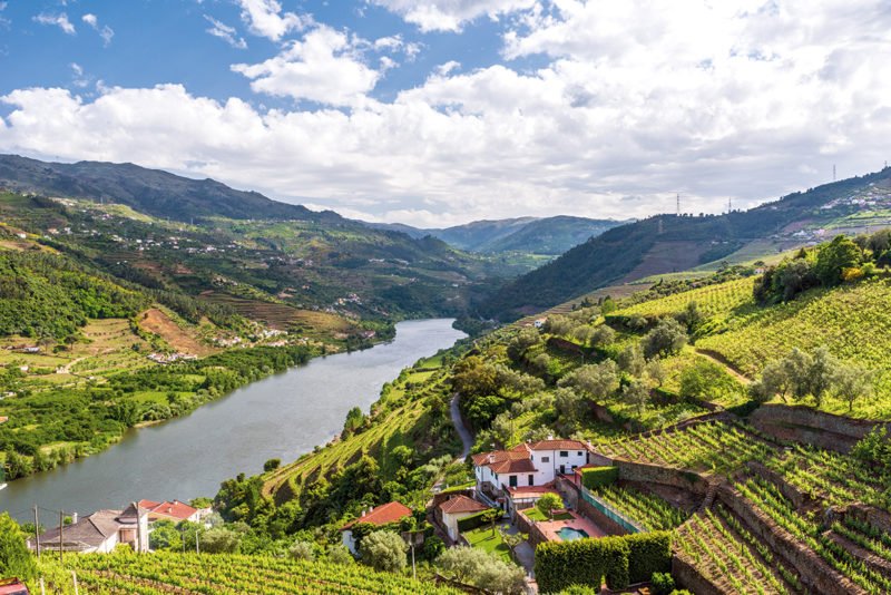 Join The Douro Valley, Wine Tasting And Panoramic Cruise On The Pinhão From Porto