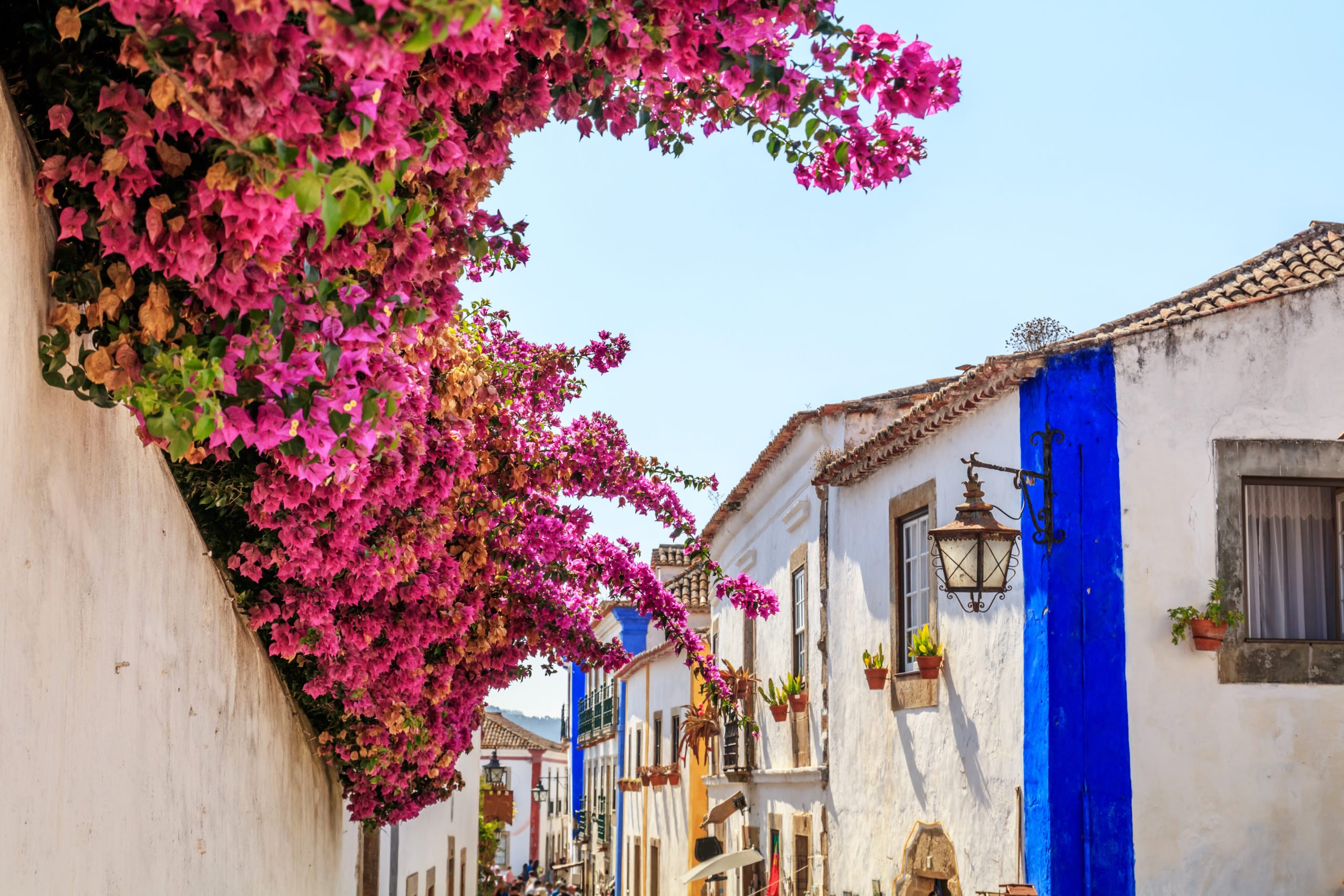 Stroll Through The Picturesque Streests Of Obidos On The Fatima Tour From Lisbon