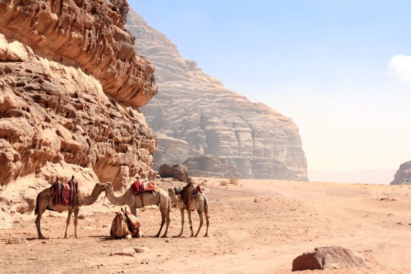 Discover Wadi Rum