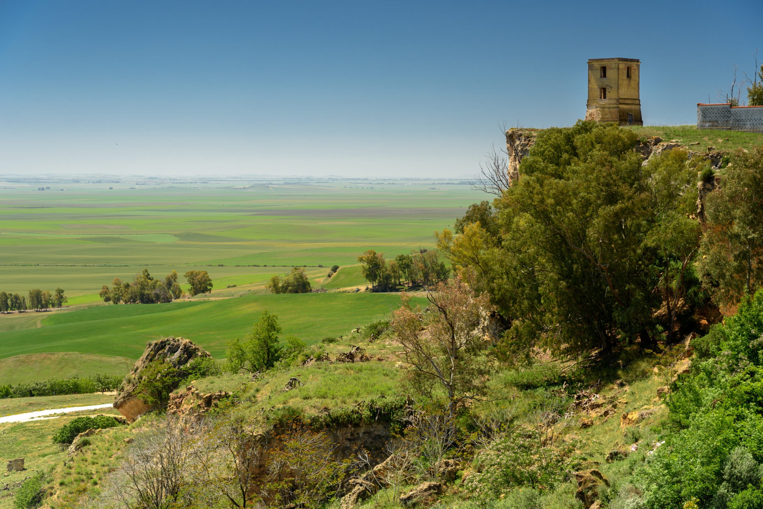 Enjoy The Beautiful Landscapes Of Carmona Village On The Olive Oil Tasting & Carmona Village Tour From Seville