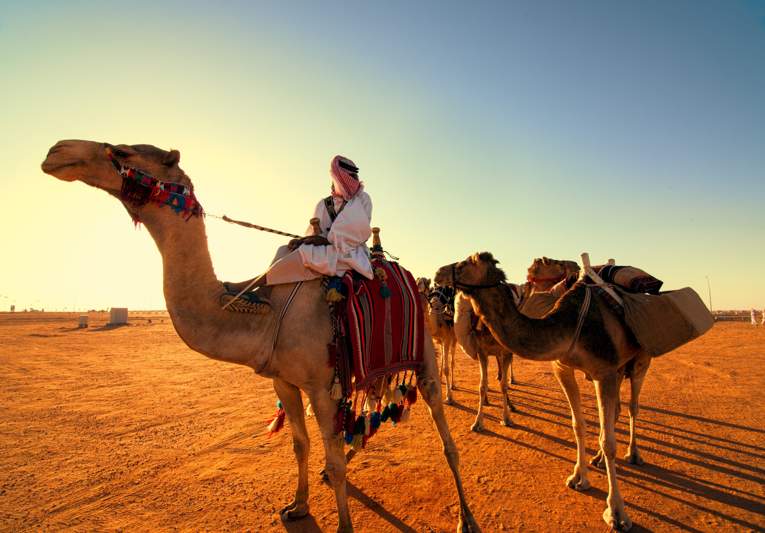 Explore The Beauty Of Al Ula Desert On The 4 Day Madain Saleh Tour From Aqaba
