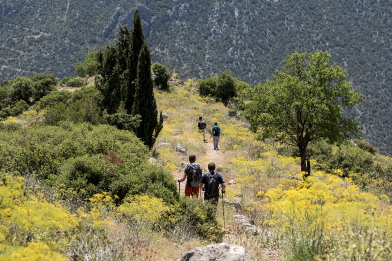 Hike Up To The Famous Ruins Of Delphi On The Delphi History And Hiking Tour From Athens_70
