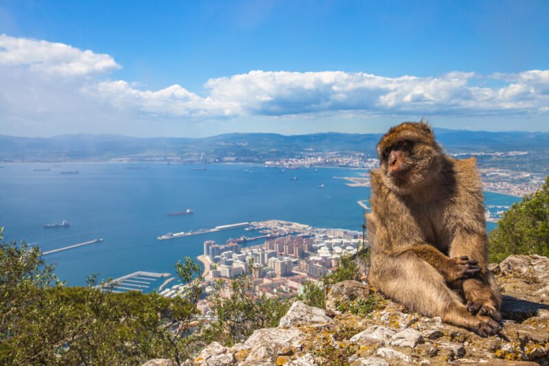 Join Our Gibraltar Tour From Seville