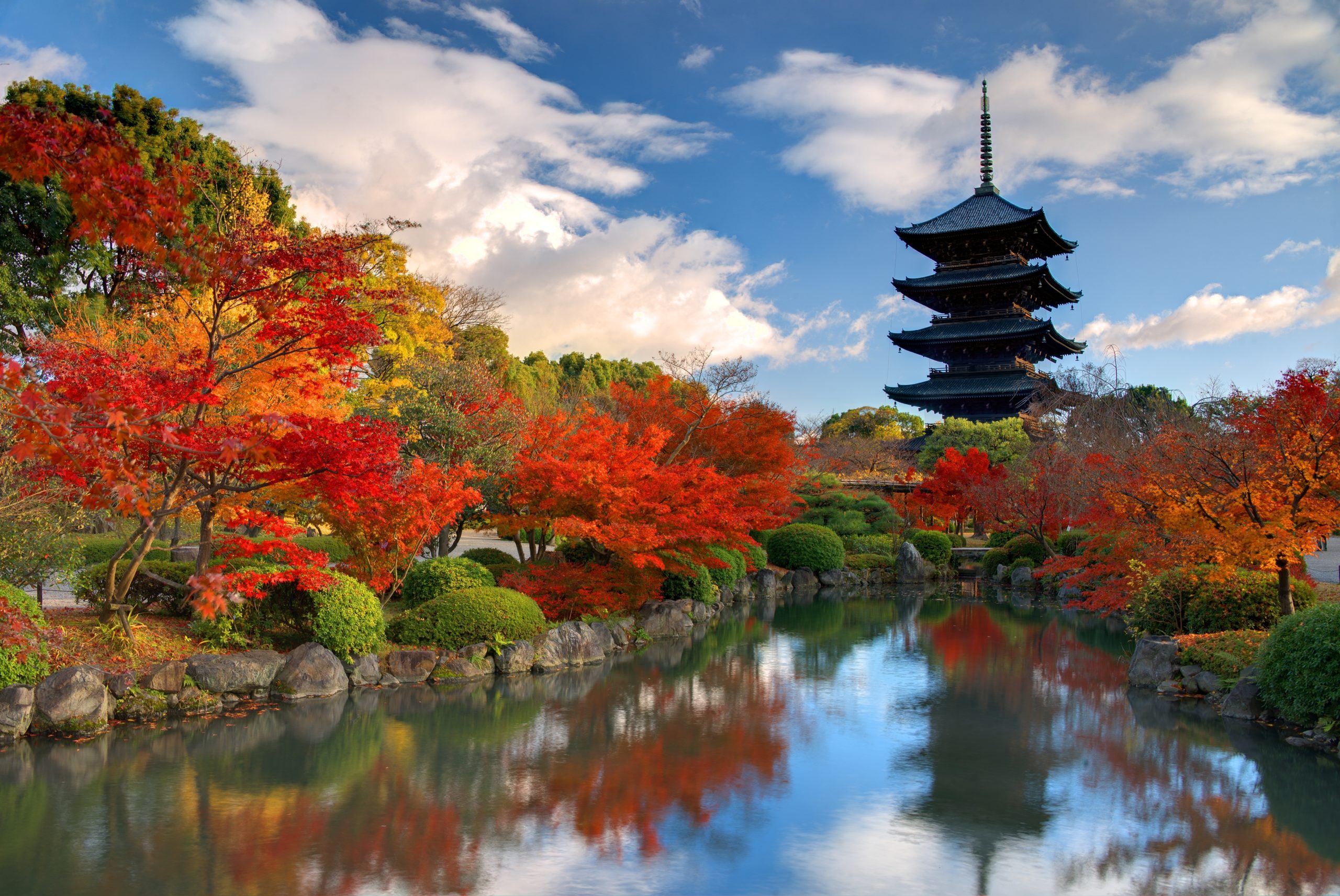 Join Our Kyoto And Nara Tour