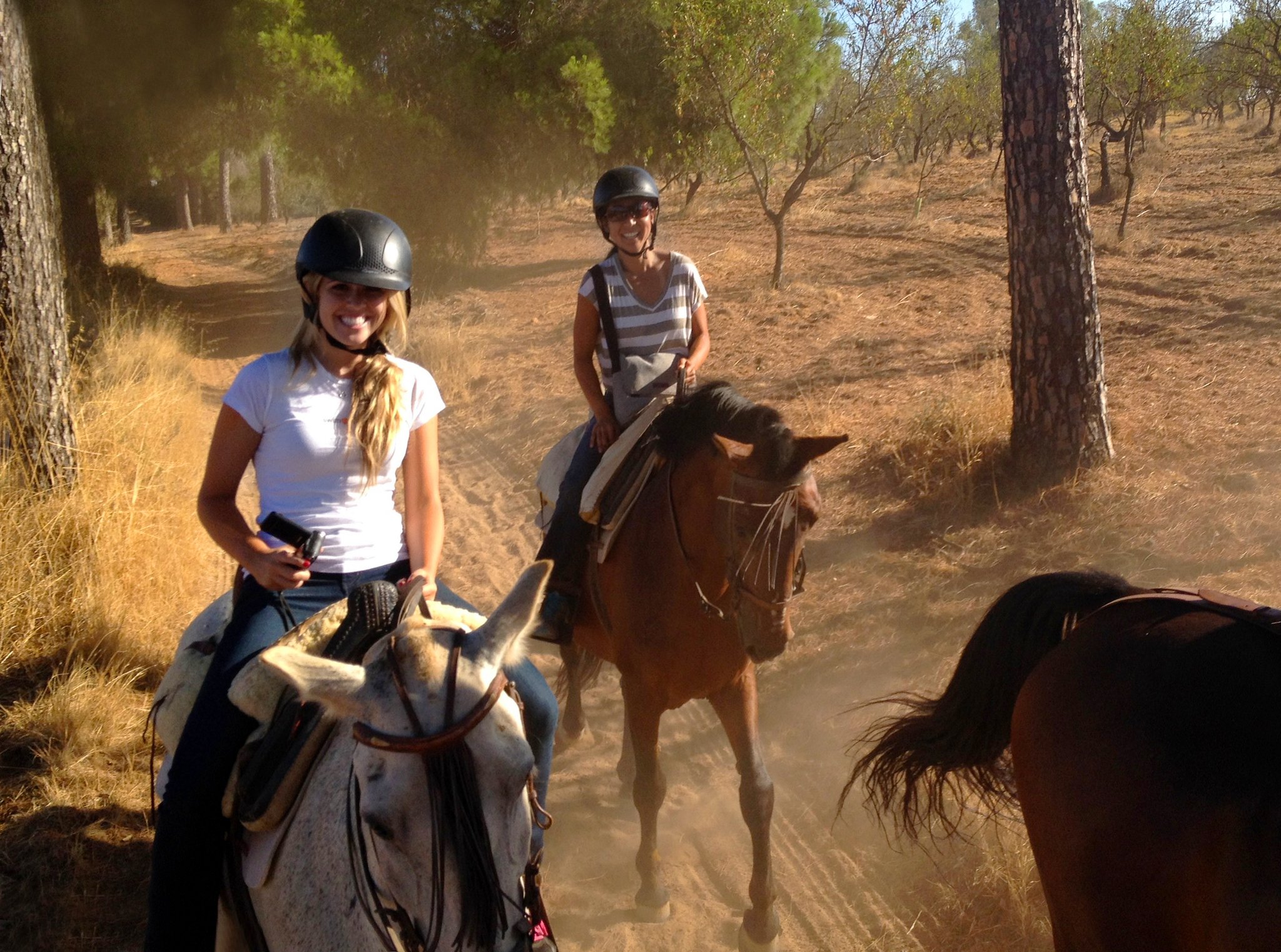 Relax And Enjoy The Nature On The Andalusian Horseback Riding From Seville