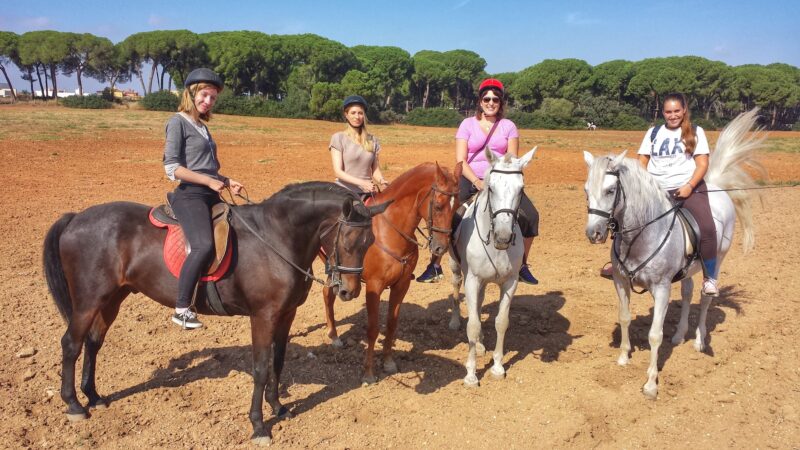 Take A Break And Enjoy The Andalusian Horseback Riding From Seville_71