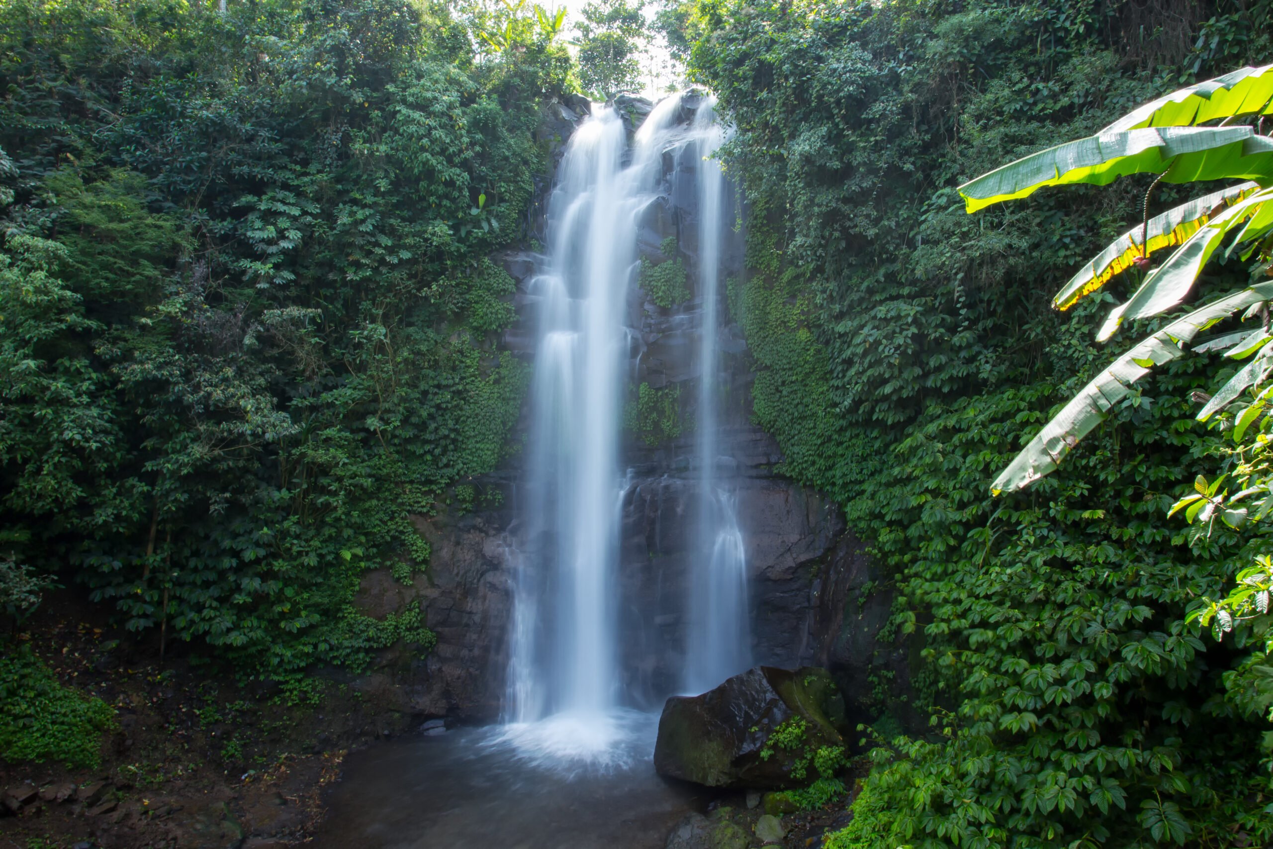 Take A Swim At The Golden Waterfall On The Northern Bali Experience