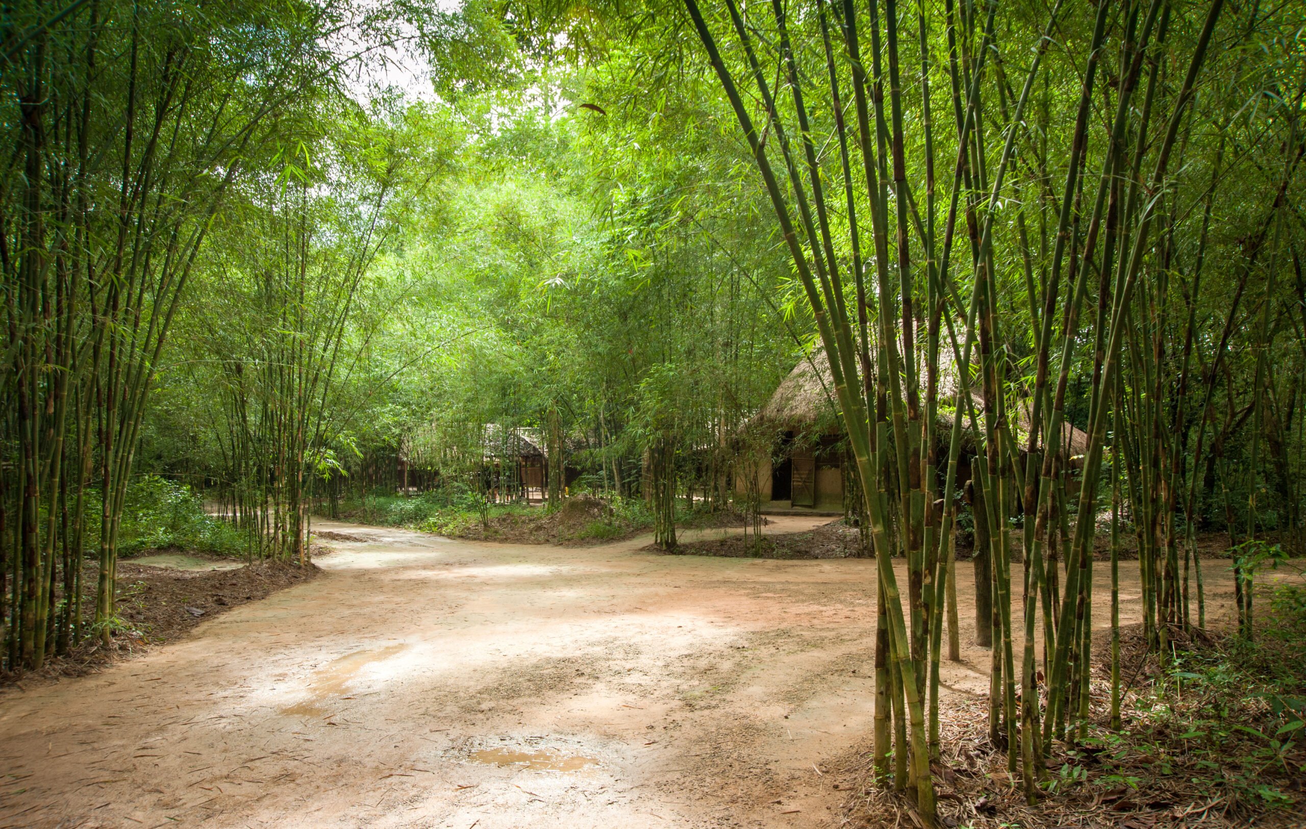 Cu Chi Tunnel Half Day Tour From Ho Chi Minh City_1
