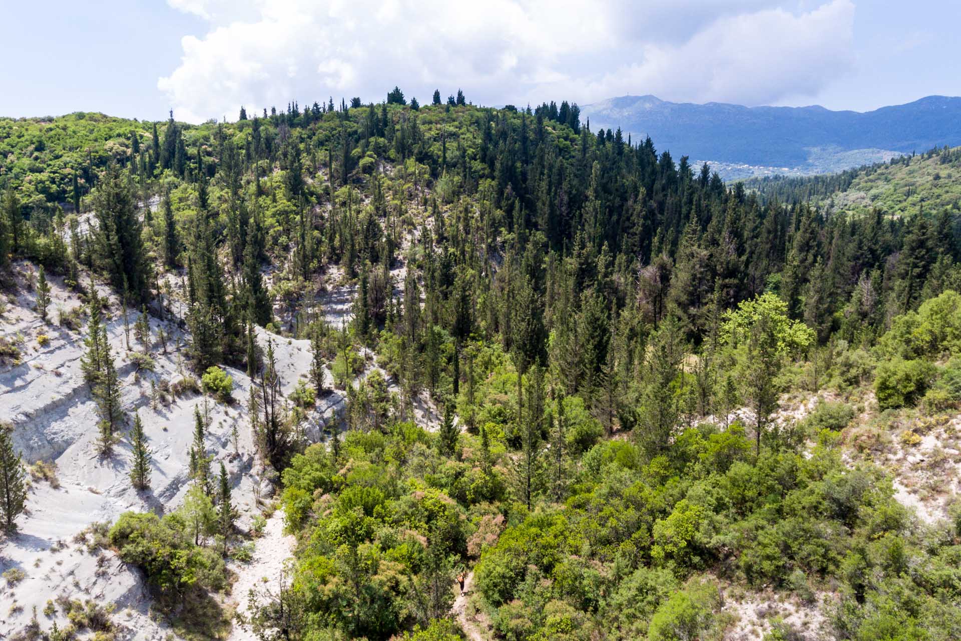Experience The Silence In The Pine Tree Forests Of Lefkada On The Eastern Lefkada Hiking Tour From Kolivata!_89