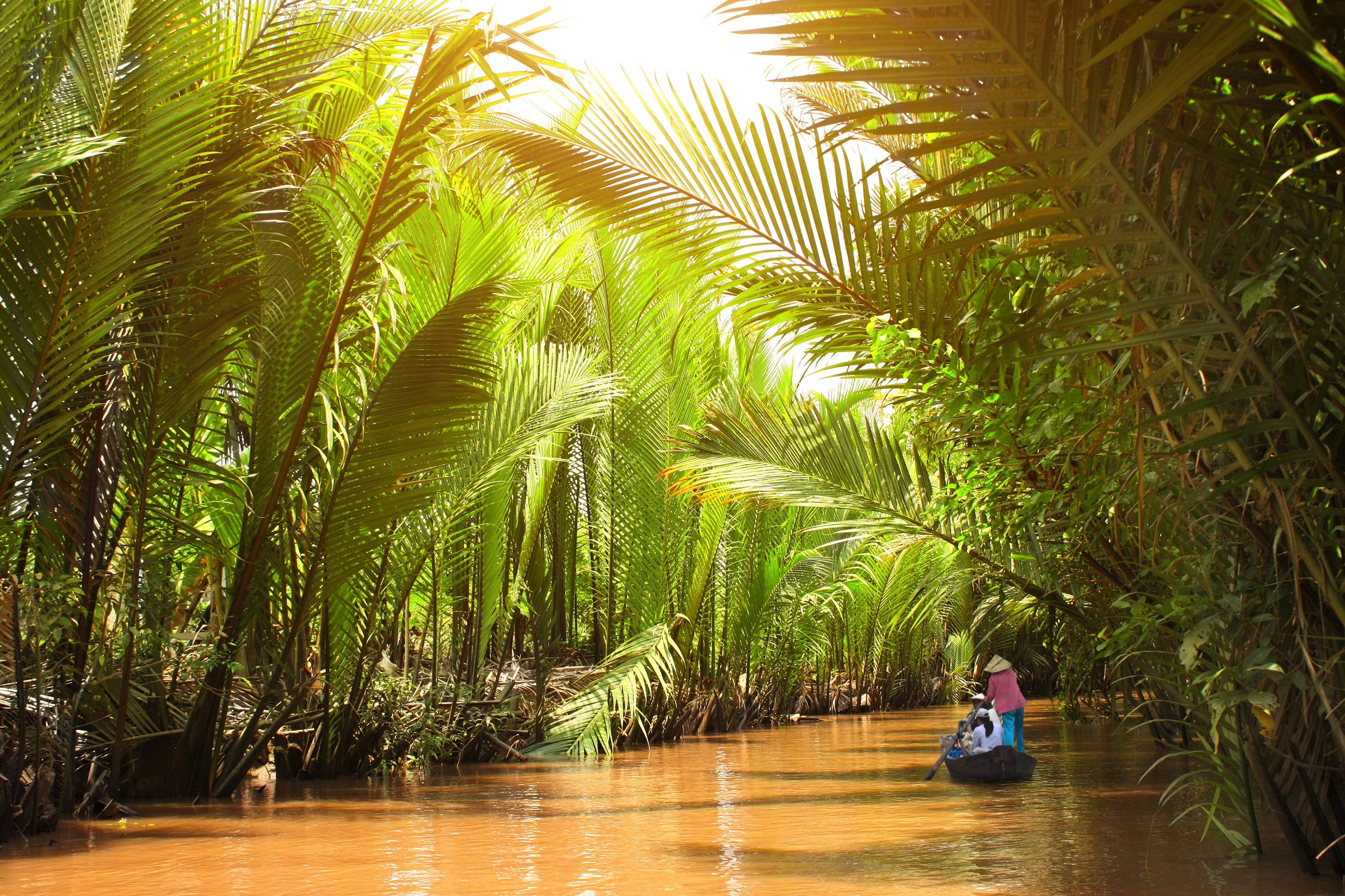 what is the mekong delta tour