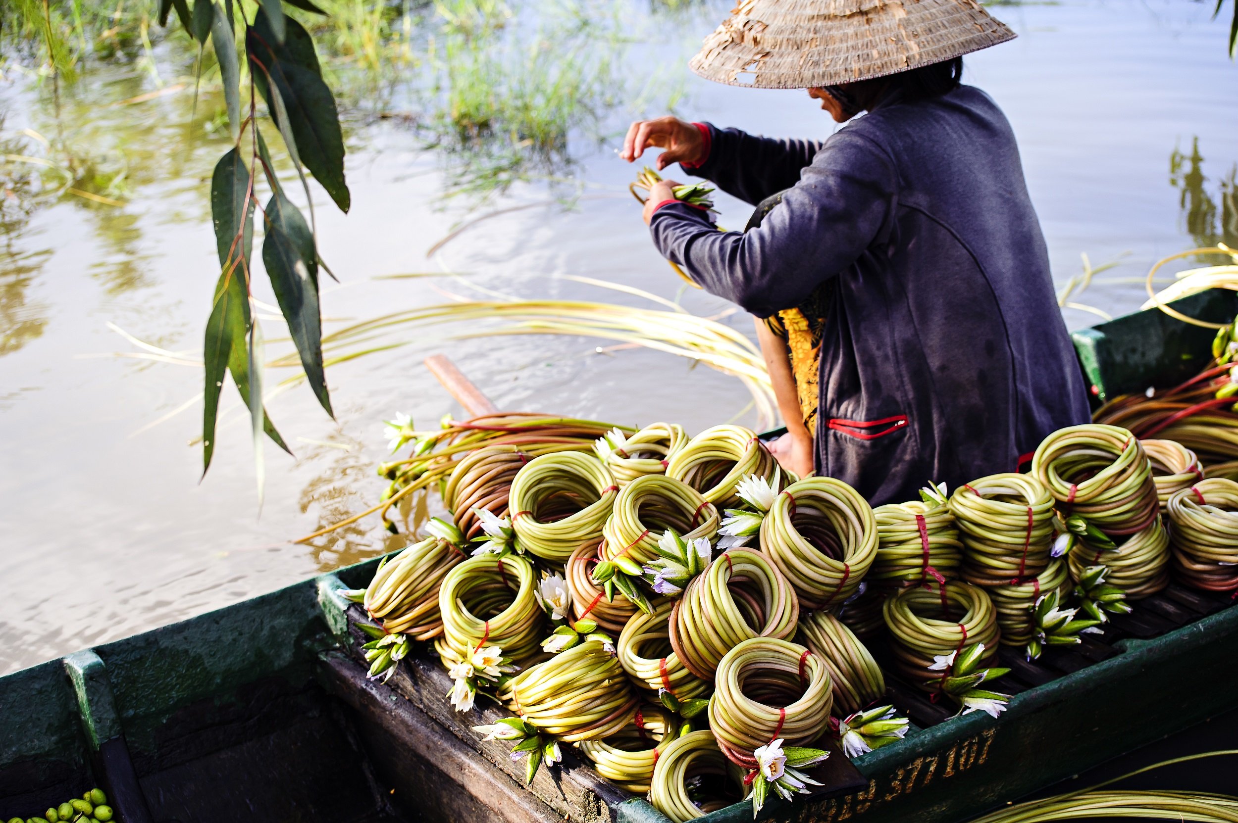 Mekong Delta Tour From Ho Chi Minh City_1