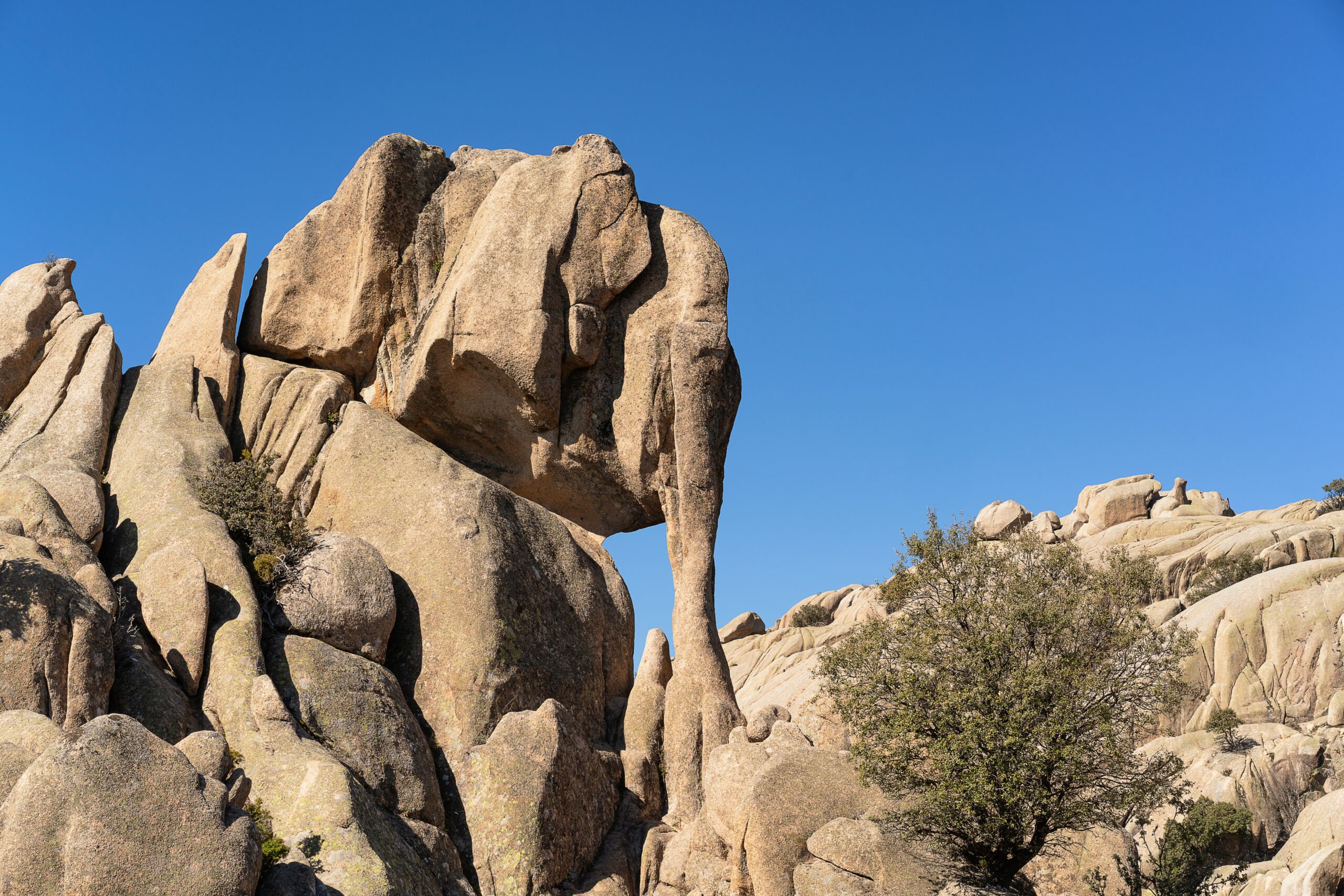 La Pedriza Private Hiking Tour from Madrid - Tourist Journey