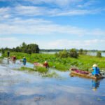 Mekong Delta Tour From Ho Chi Minh City