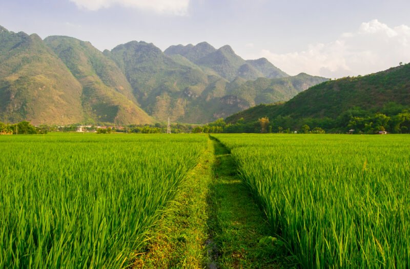 Mai Chau Trekking