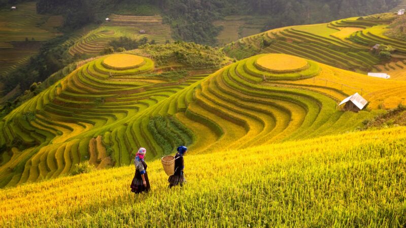Marvelous Vietnam 12 Day Package Tour