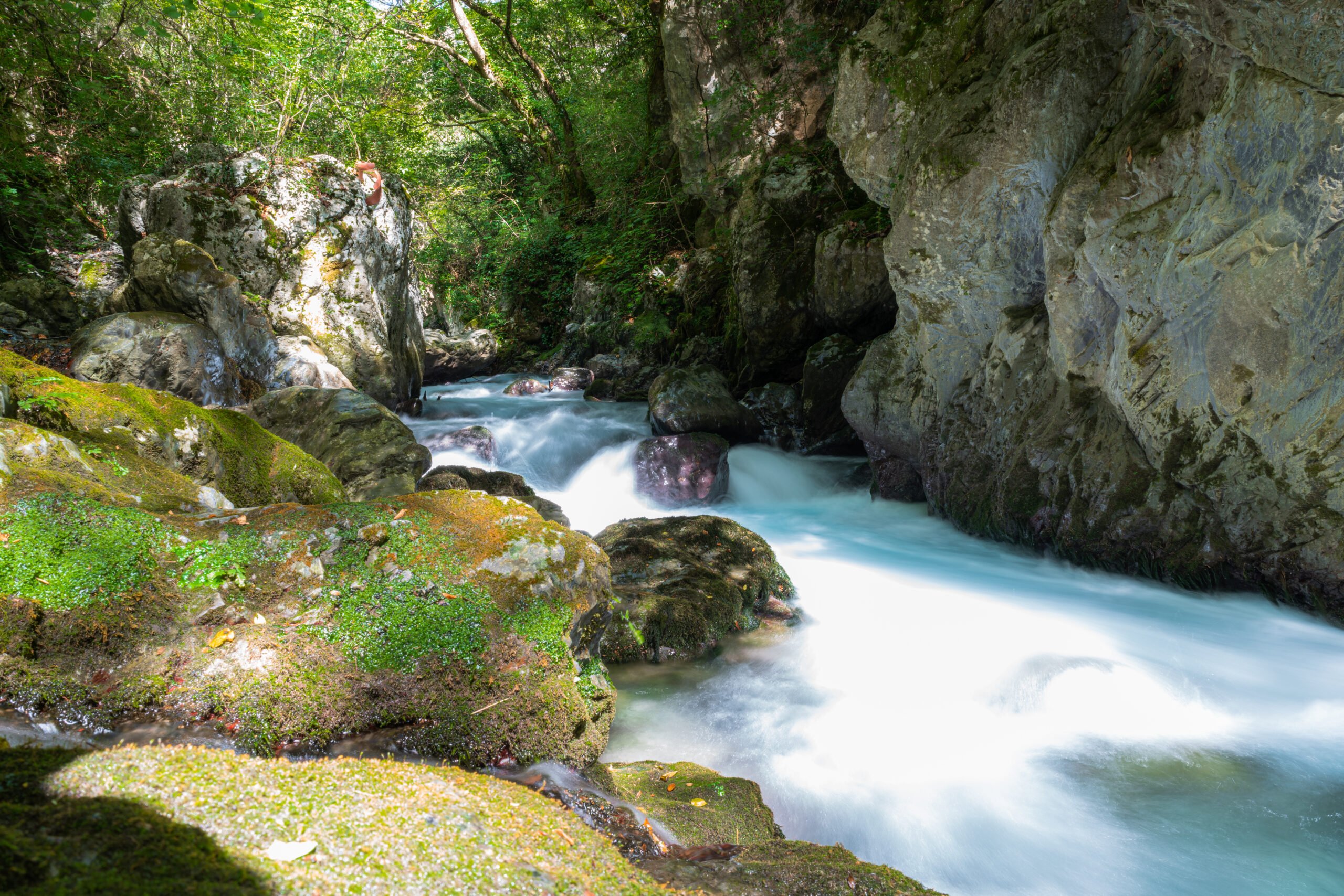 Stroll Along The River Banks Of Lousios River On The Lousios Gorge Hiking Tour From Gortyn