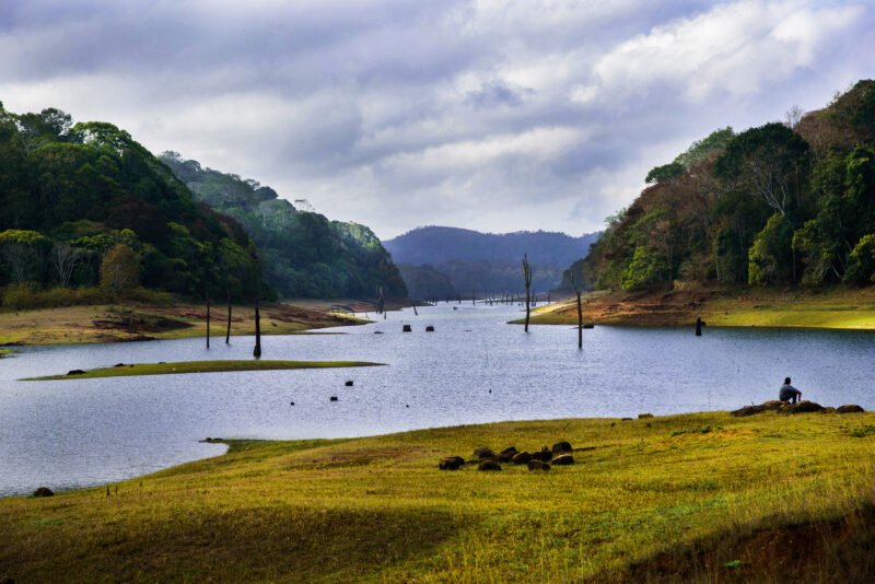 Amazing Southern India Views In Our 3 Day Wildlife And Culture Tour Of Thekkady From Kochi