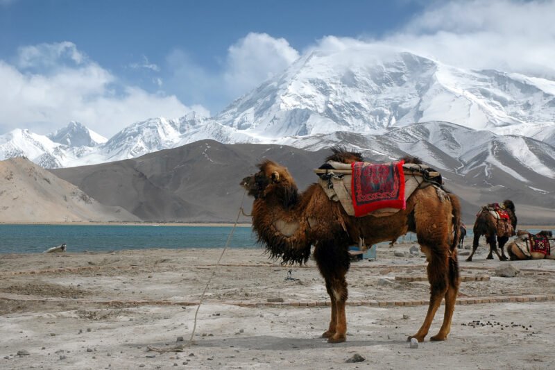 Discover Karakul Lake In Our 8 Day Silk Road Express Tour