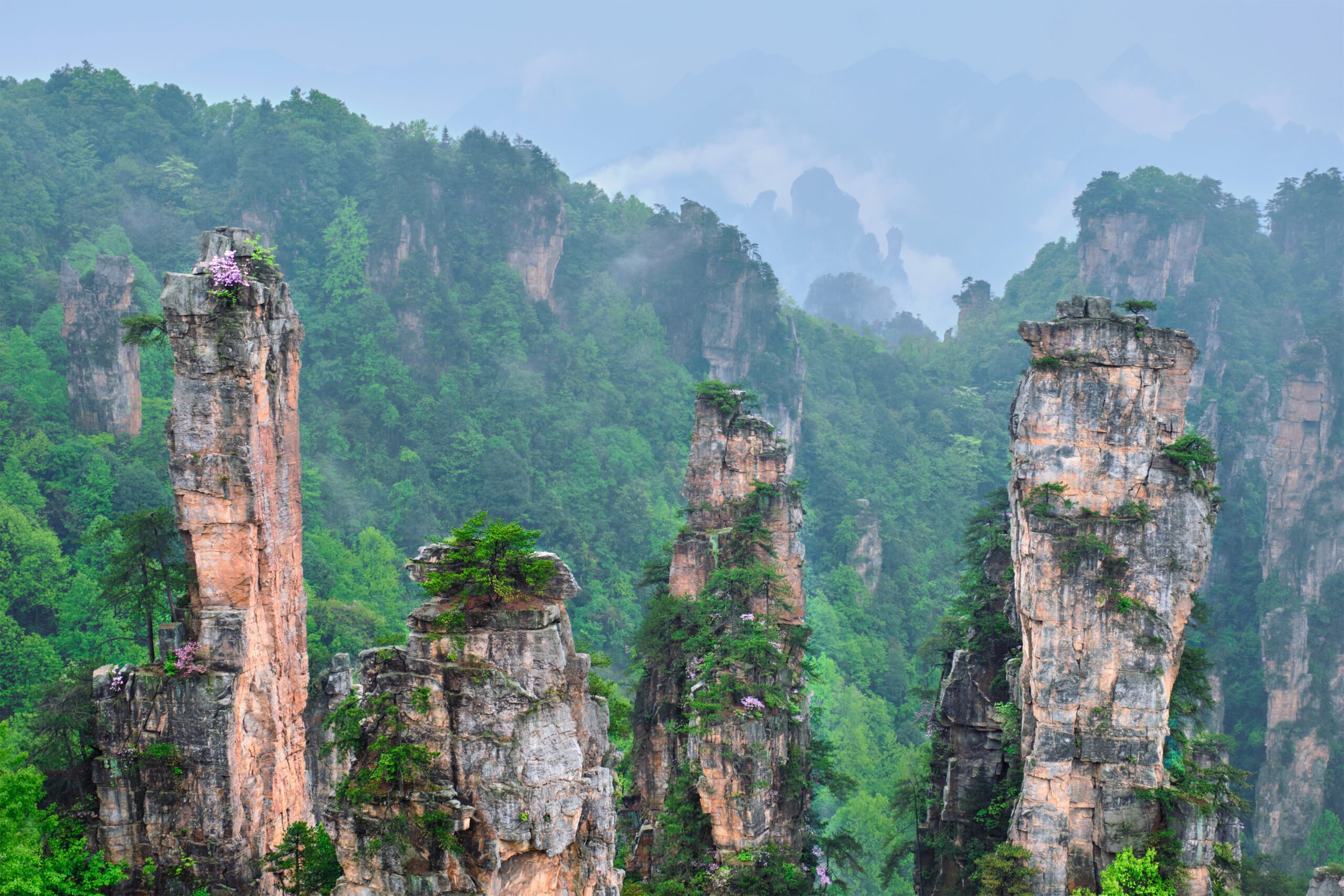 Explore Zhangjiajie National Park In Our China Private Impression 14 Day Package