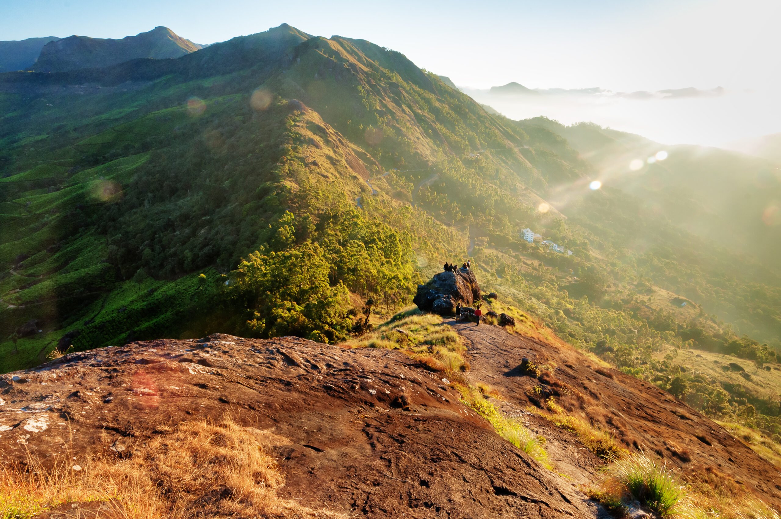 Hiking In The Amazing Nature Of Munnar In Our 5 Day Ecology & Culture Tour Of Munnar
