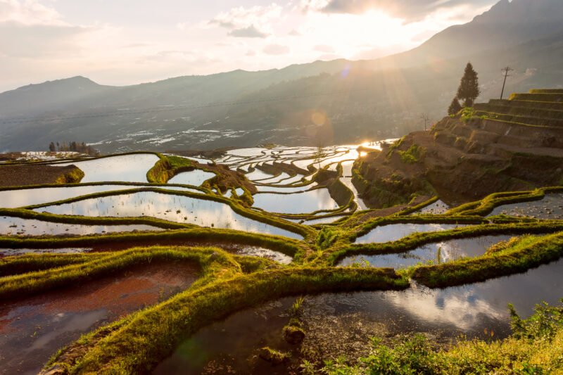 Marvel The Amazing Hani Rice Terraces In Our Jianshui And Yuanyang Hani Rice Terraces 3 Day Package