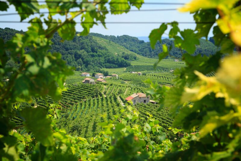Many Of The Best Italy Food Tours Also Include Visits To Beautiful Locations Such As Our Prosecco Tasting Tour From Venice On The 13 Day Italy Food & Wine Journey Tour Package