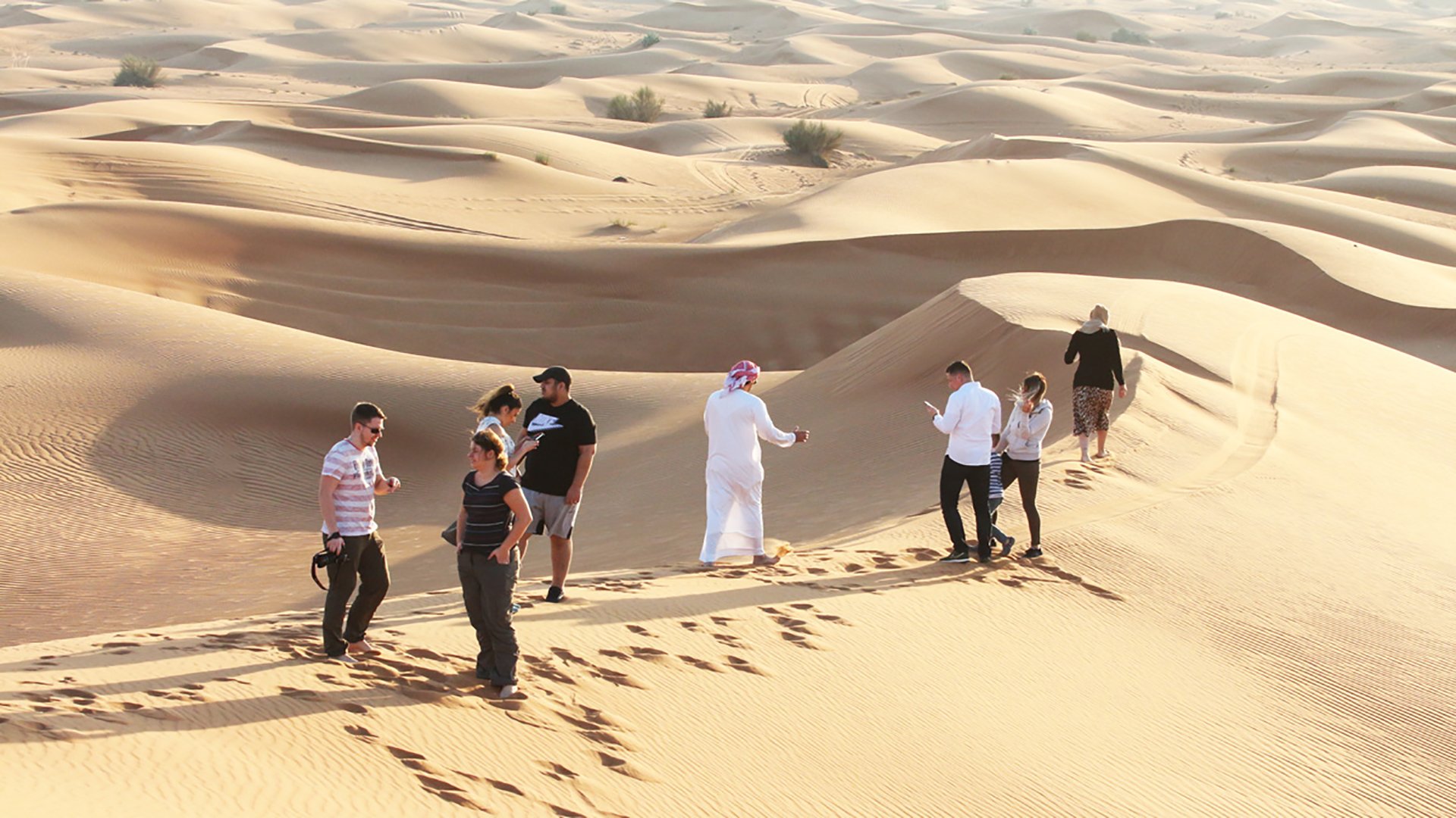 Red Dune Safari, Quad Bike, Sandboarding & Camel Ride Experience From Dubai_101_1